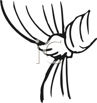 Cartoon Clipart
